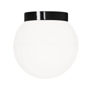 Classic Globe 300 loftlampe / væglampe IP44, sort/mat opal