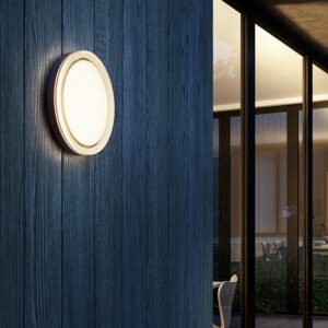 Lisc udendørs væglampe / loftlampe, antrasit