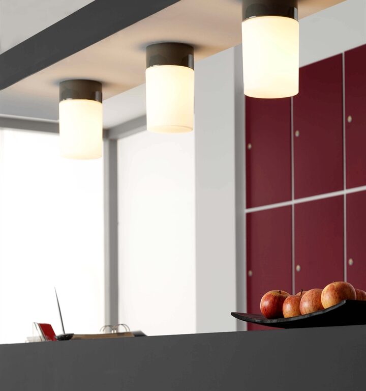 Opus 120/200 loftlampe / væglampe, grå