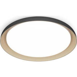 Philips Pebblo loftlampe, 4000K, sort