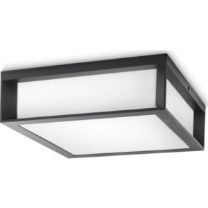 Philips myGarden Skies udendørs loftlampe, antracit