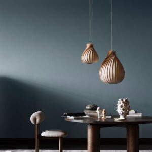 TR42 Pendel Birk H55 - Tom Rossau