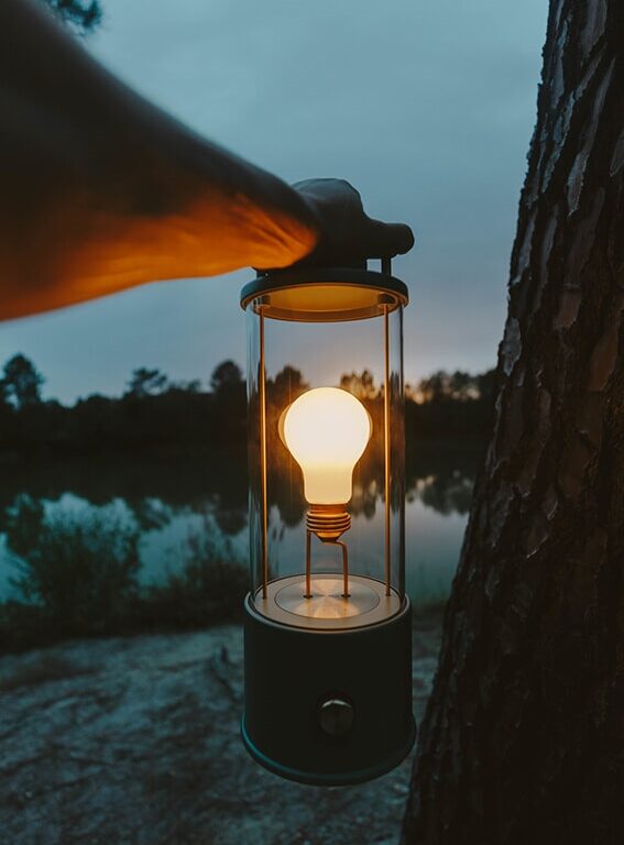 Tala The Muse Portable bordlampe, pleasure garden