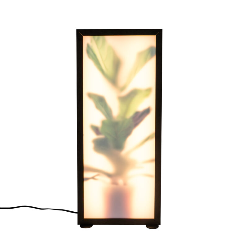 ZUIVER Grow L gulvlampe - glas og sort træ