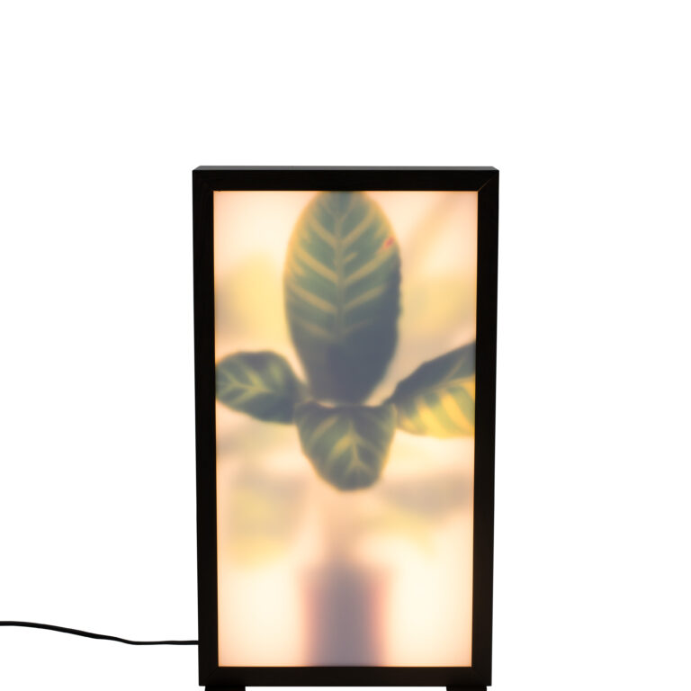 ZUIVER Grow M gulvlampe - glas og sort træ